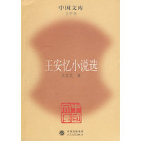 王安忆小说选(中国文库4)