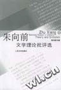 朱向前文学理论批评选