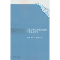 绿色金融支持低碳能源产业发展研究