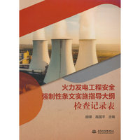 火力发电工程安全强制性条文实施指导大纲检查记录表