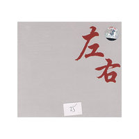 最年轻的创作型歌手-左右组合(CD)