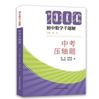 初中数学千题解：中考压轴题
