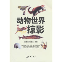 动物世界掠影