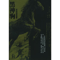 黑神驹/黑神驹系列丛书(The Black Stallion)