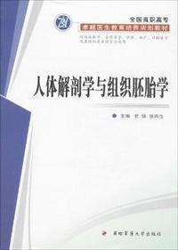 人体解剖学与组织胚胎学