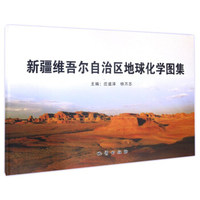 新疆维吾尔自治区地球化学图集