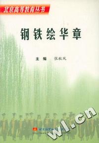 钢铁绘华章