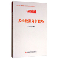 审计技巧丛书：多维数据分析技巧