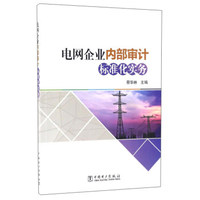 电网企业内部审计标准化实务