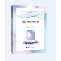 微短剧治理研究