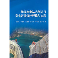 梯级水电站大坝运行安全智能管控理论与实践