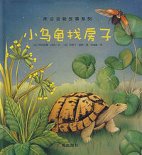 小乌龟找房子