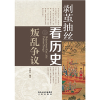 叛乱争议