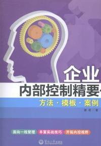 企业内部控制精要方法·模板·案例