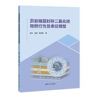 页岩储层封存二氧化碳吸附行为及表征模型