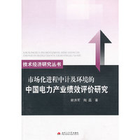 市场化进程中及环境的中国电力产业绩效评价研究
