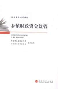 乡镇财政资金监管