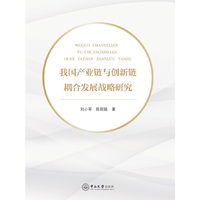 我国产业链与创新链耦合发展战略研究