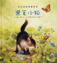 黑毛小狐