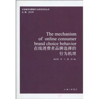在线消费者品牌选择的行为机理