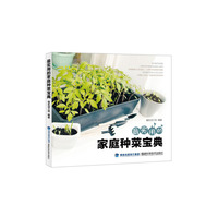 最实用的家庭种菜宝典