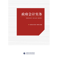 政府会计实务