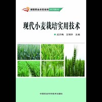 现代小麦栽培实用技术