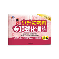小升初考前专项强化训练 语文（第4版）