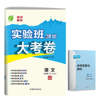 实验班提优大考卷 九年级下册 初中语文 人教版 2021年春新版教材同步随堂作业本练习册