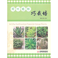 观叶植物巧栽培