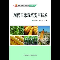 现代玉米栽培实用技术