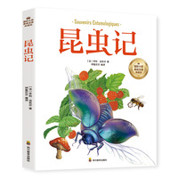 昆虫记（彩图注音版）6-12岁小学生课外阅读书籍 一二三四年级儿童文学读物带拼音世界经典名著