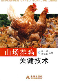 山场养鸡关键技术
