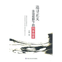 追寻正义法治视野下的刑事错案