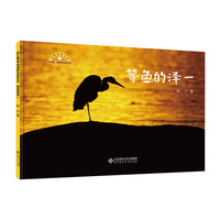风之翼 导演的鸟类日记  等鱼的泽一
