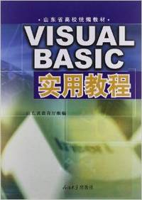 visual basic 实用教程