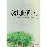 潍县萝卜