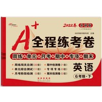 68所名校 A+全程练考卷英语六年级下册22春外研版