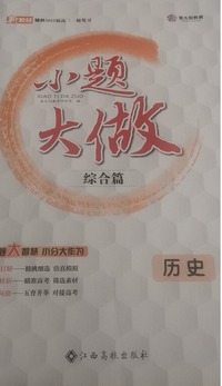 小题大做.综合篇.历史