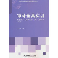 审计全真实训(第三版)