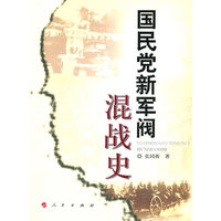 国民党新军阀混战史
