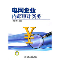 电网企业内部审计实务