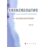县级民族区域自治运行研究-峨山彝族自治县的个案分析