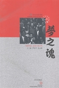 梦之魂