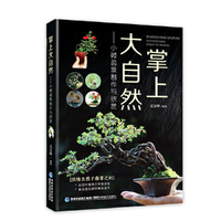 掌上大自然-小微盆景制作与欣赏