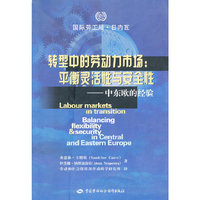 转型中的劳动力市场：平衡灵活性与安全性：中东欧的经验
