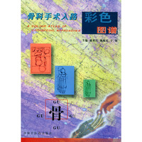 骨科手术入路彩色图谱
