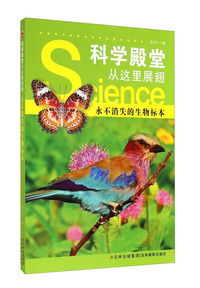 科学殿堂从这里展翅-永不消失的生物标本