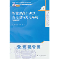 新能源汽车动力蓄电池与充电系统（微课版）（新编21世纪高等职业教育精品教材·汽车类；新能源汽车技术专业精品在线开放课程配套教材）