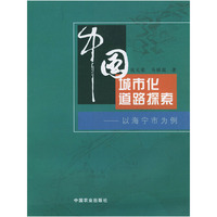 中国城市化道路探索：以海宁市为例